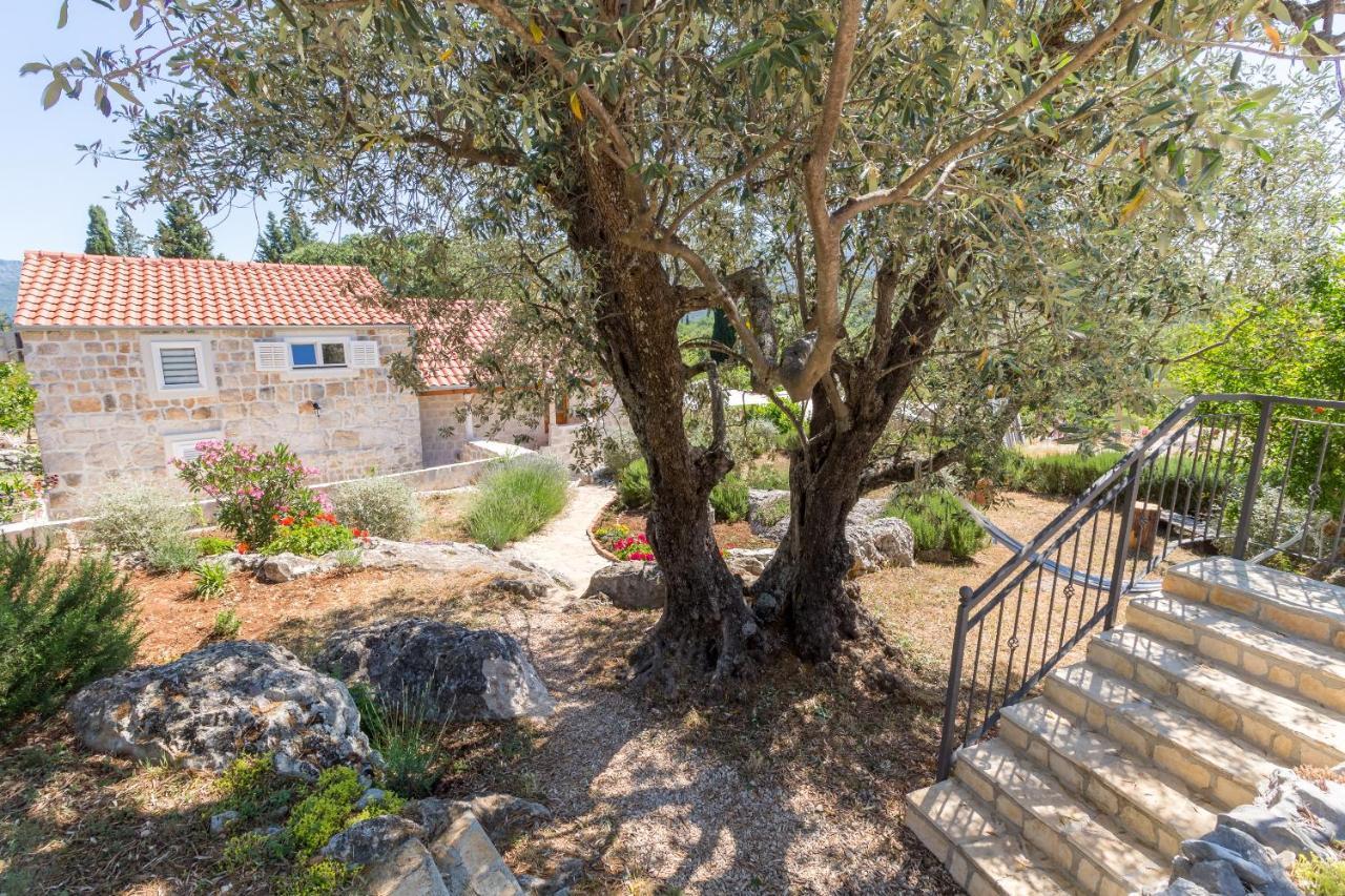 Olive Garden Appartement Ston Buitenkant foto