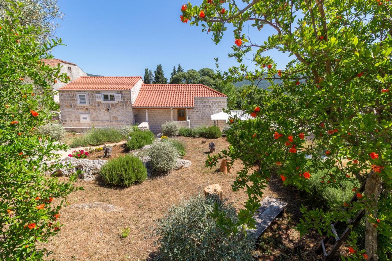 Olive Garden Appartement Ston Buitenkant foto