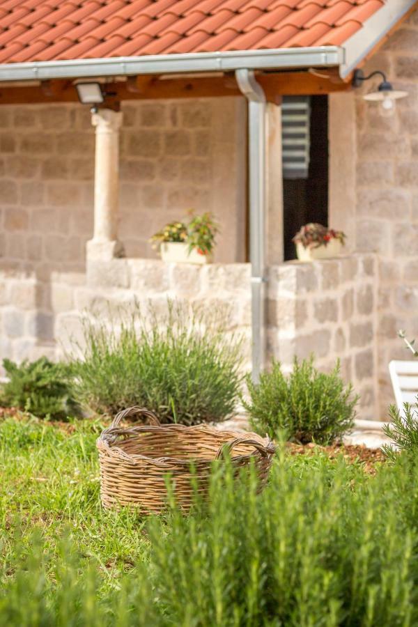 Olive Garden Appartement Ston Buitenkant foto