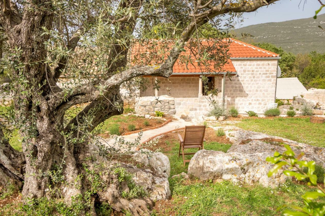 Olive Garden Appartement Ston Buitenkant foto